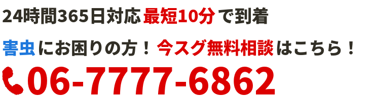 今すぐ